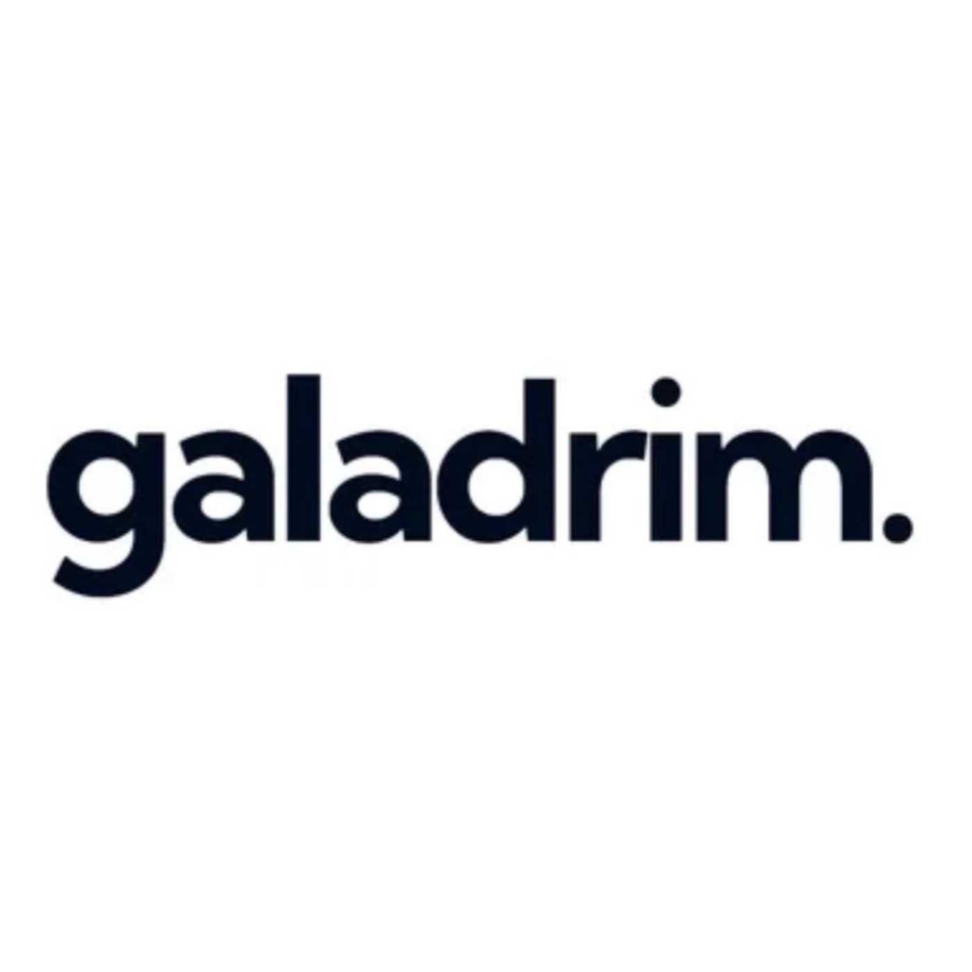 Image du logo de l'agence Shopify Galadrim