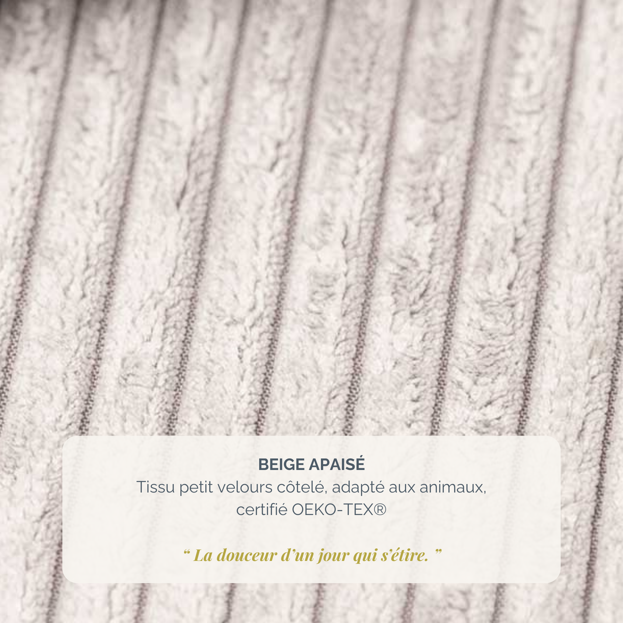 Canapé droit convertible Barres en tissu petit velours côtelé beige Paname Avenue, détail de la texture du revêtement