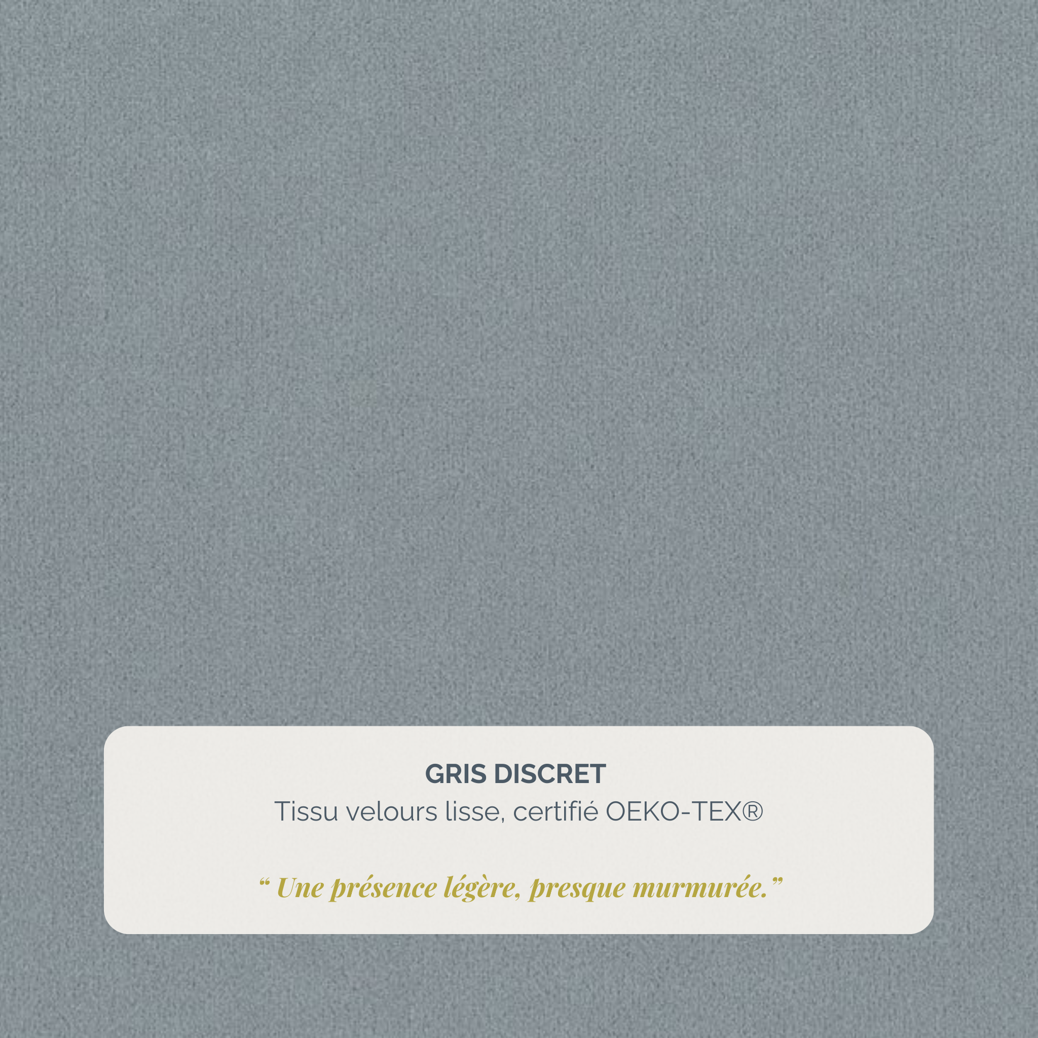Lit coffre Timbaud 160x200 en tissu velours lisse gris clair Paname Avenue, détail de la texture du revêtement