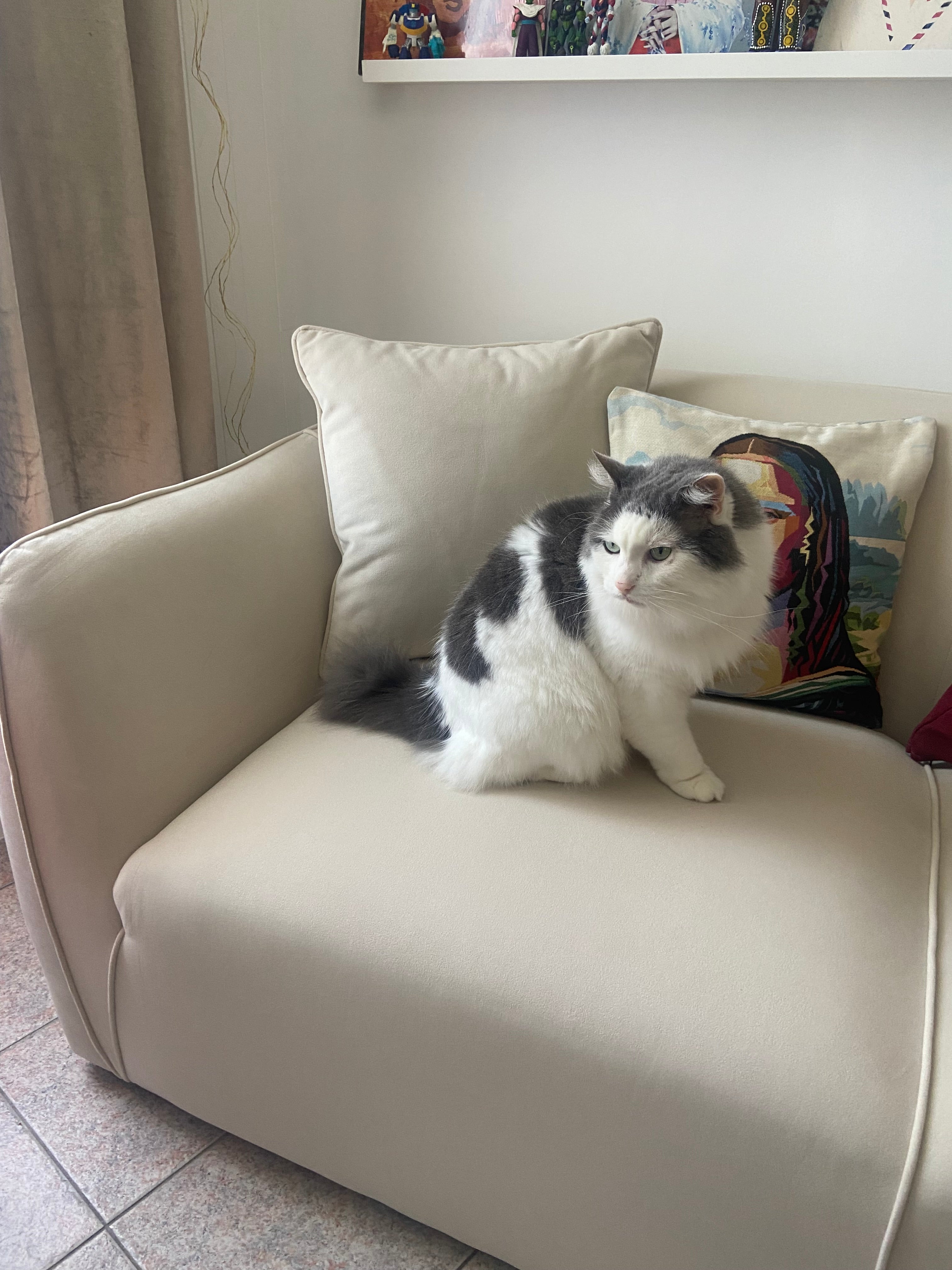canapé droit Faubourg-Saint-Martin en velours lisse beige Paname Avenue - Zoom sur l'assise et les finitions du canapé avec un chat assis dessus - retour client