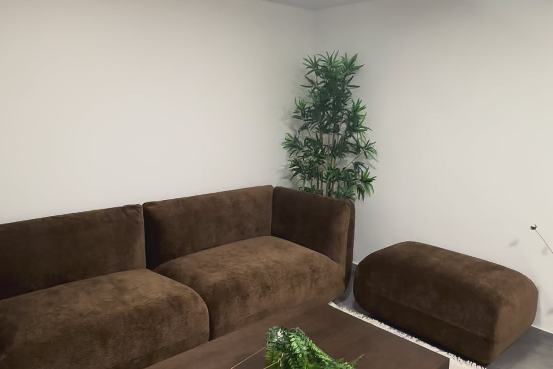Vidéo d'une cliente se filmant dans son salon le duo canapé droit Portefoin et le pouf Blainville en marron de chez Paname Avenue dans une ambiance végétale.