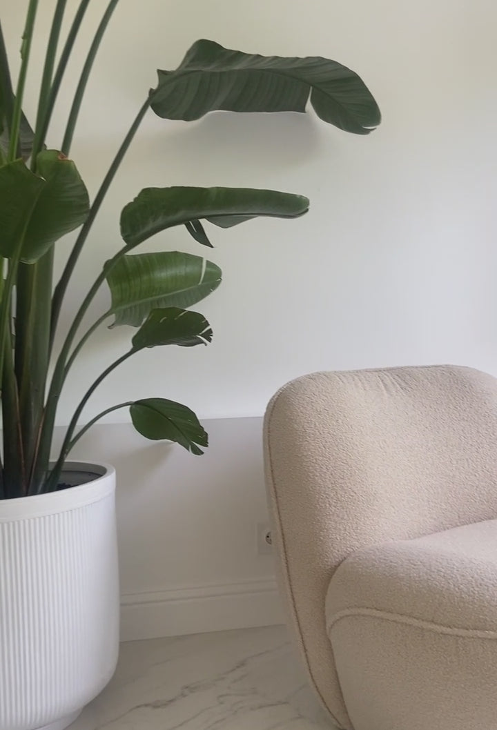 Vidéo d'une cliente filmant son fauteuil Louvre de chez Paname Avenue en tissu bouclette beige en insistant sur la qualité du revêtement et des finitions.