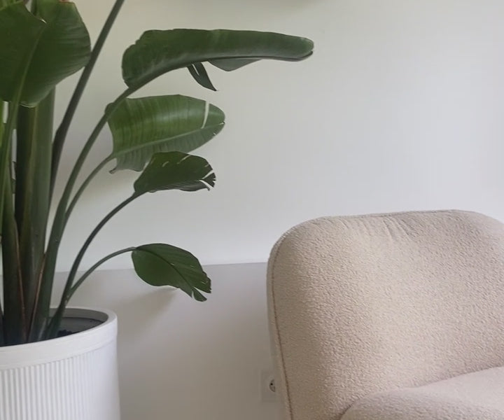 Vidéo d'une cliente filmant son fauteuil Louvre de chez Paname Avenue en tissu bouclette beige en insistant sur la qualité du revêtement et des finitions.