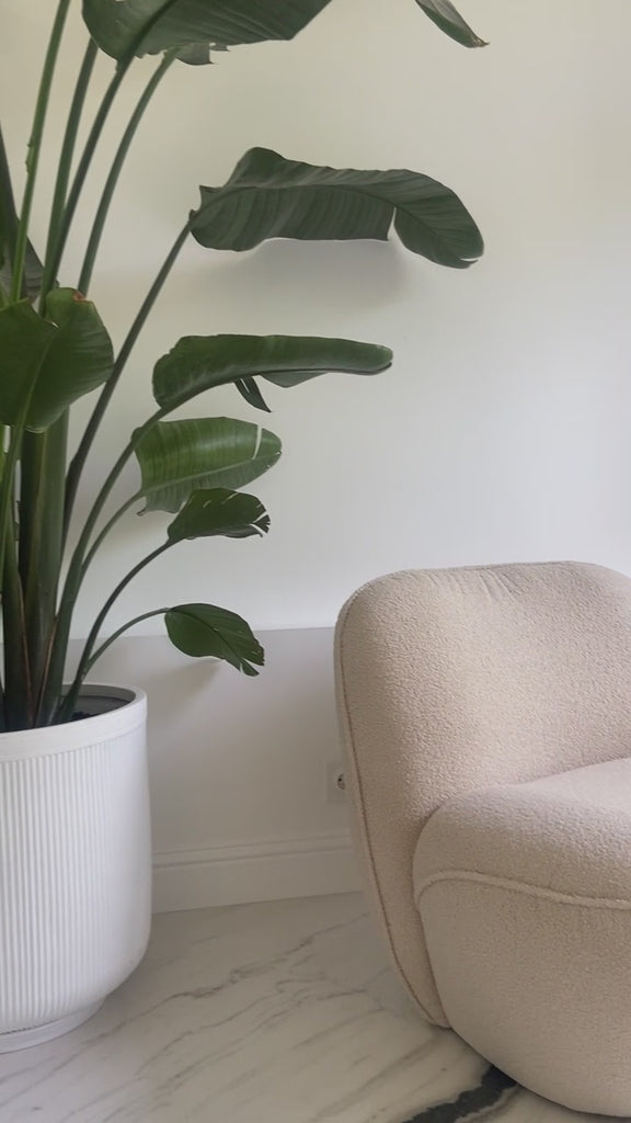 Vidéo d'une cliente filmant son fauteuil Louvre de chez Paname Avenue en tissu bouclette beige en insistant sur la qualité du revêtement et des finitions.