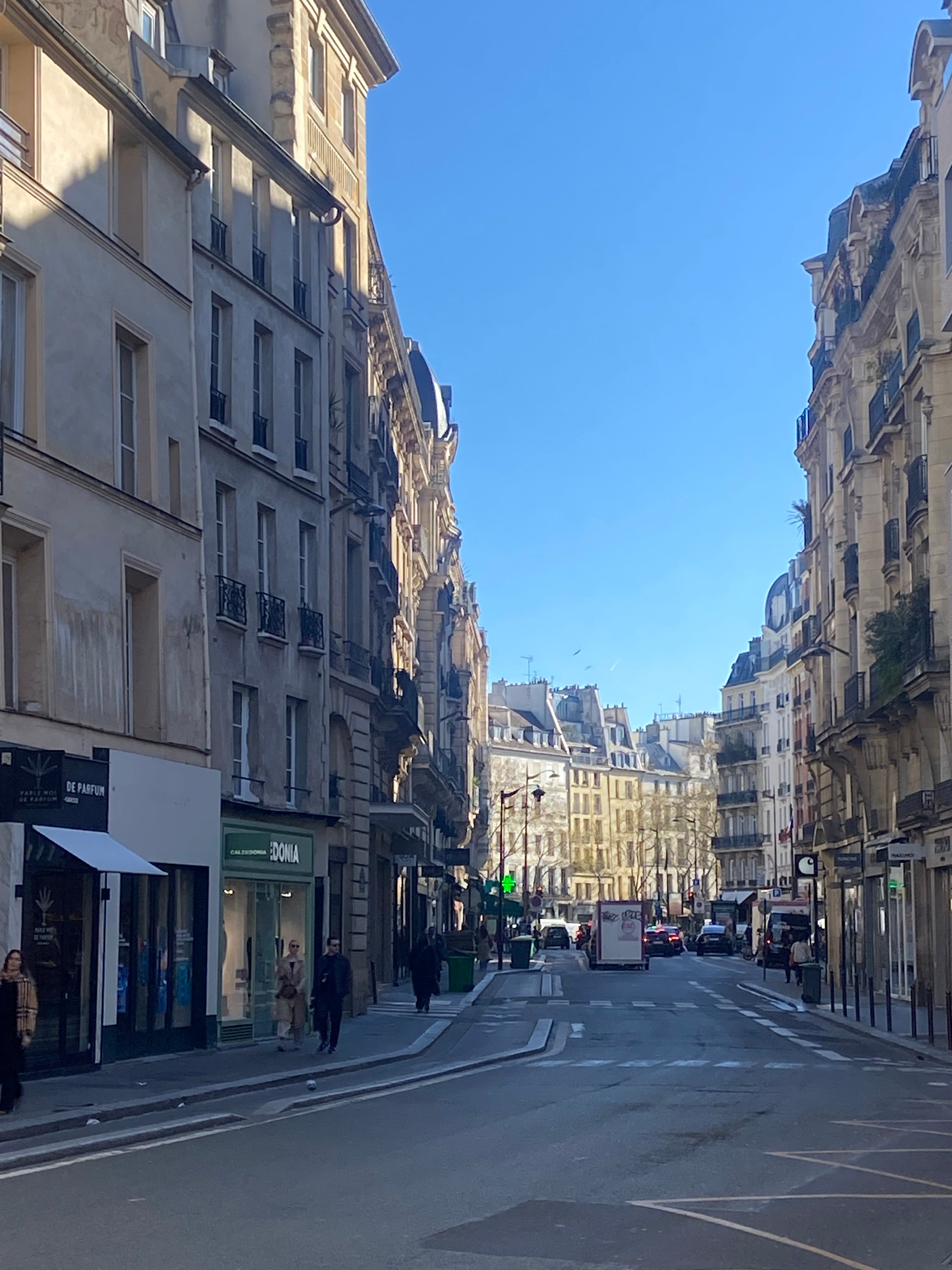 Rue du Four à Saint-Germain-des-Prés Paris 6 avec perspective urbaine, immeubles haussmanniens et ambiance animée de la rive gauche